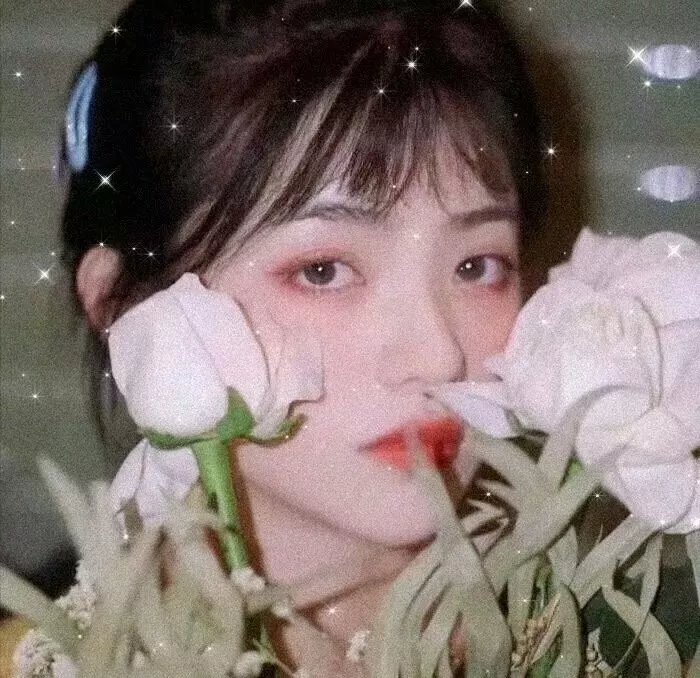 踏血寻梅